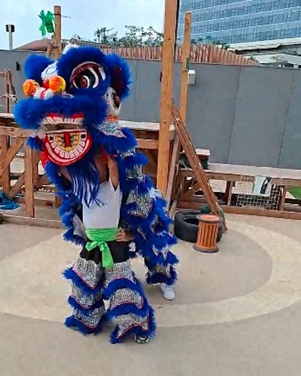 醒獅賀歲 ,有功有架,氣勢十足!