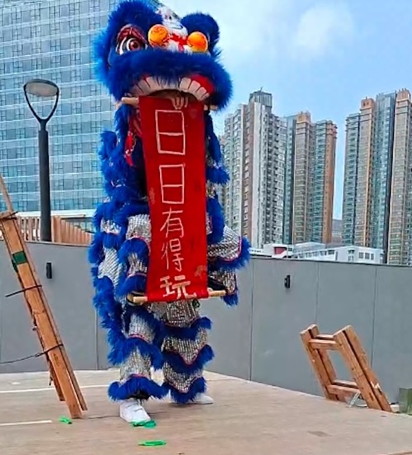 舞獅的幕後功臣是執行委員會委員董鳳汶女士的兩位兒子,更預備了「日日有得玩」的應節揮春。