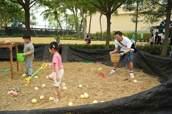 禾稈草農場：化身小農夫一邊感受禾稈草的獨特質感，一邊尋找色彩繽紛的雞蛋，並與場內各位小朋友合力以籃子運送雞蛋，享受角色扮演的樂趣。