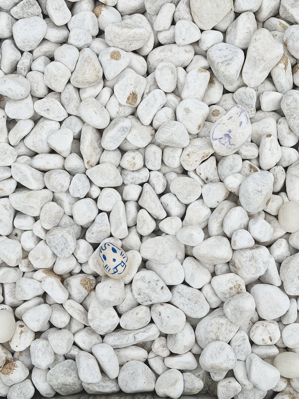 預先考眼力，你找到特種復活兔嗎？