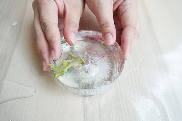 1️⃣把玩具士兵或小玩具放進小膠杯，加水後放進雪櫃冰格冷藏，讓小士兵冰封。